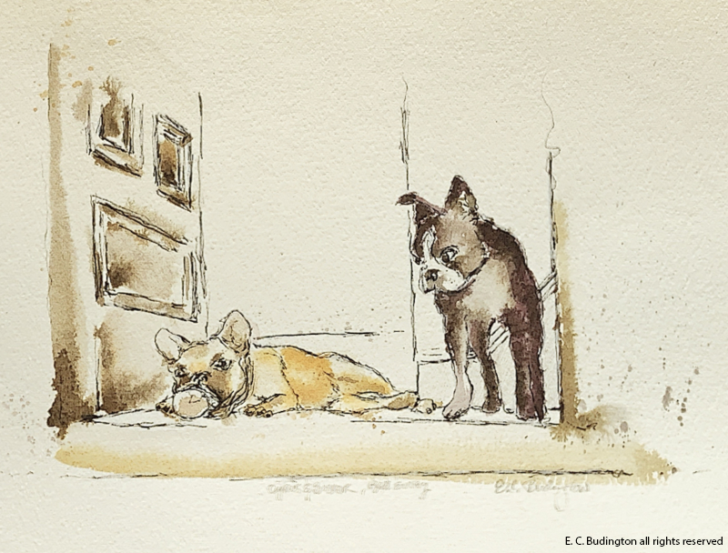 Cyrus and Buster, Ball Envy